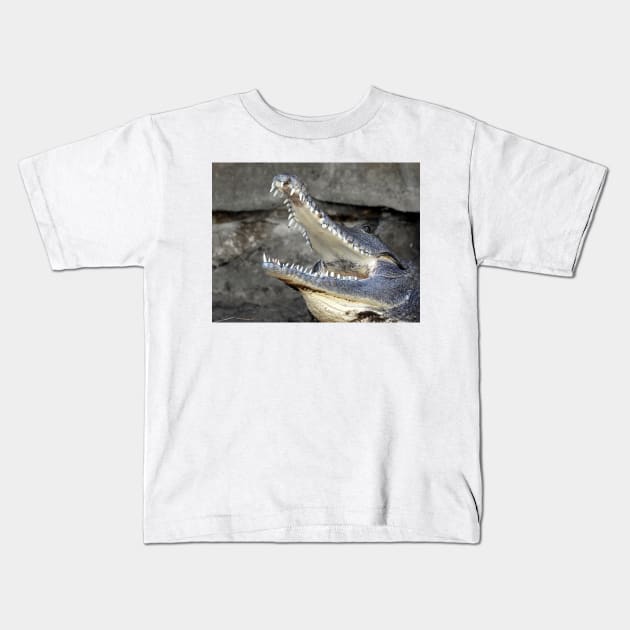 Freshwater Crocodile Kids T-Shirt by kirstybush